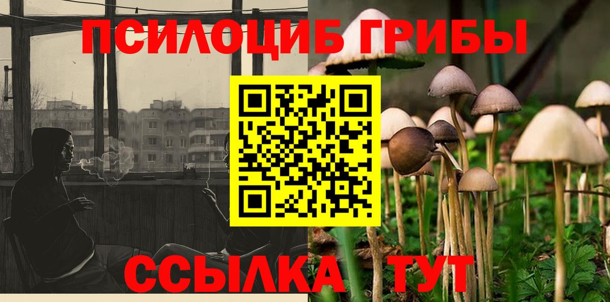Галлюциногенные грибы MAGIC MUSHROOMS  Вход с VPN  продажа наркотиков  Ливны  Галлюциногенные грибы ЛСД 