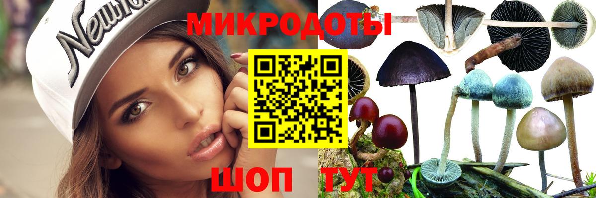 Псилоцибиновые грибы ЛСД Ливны